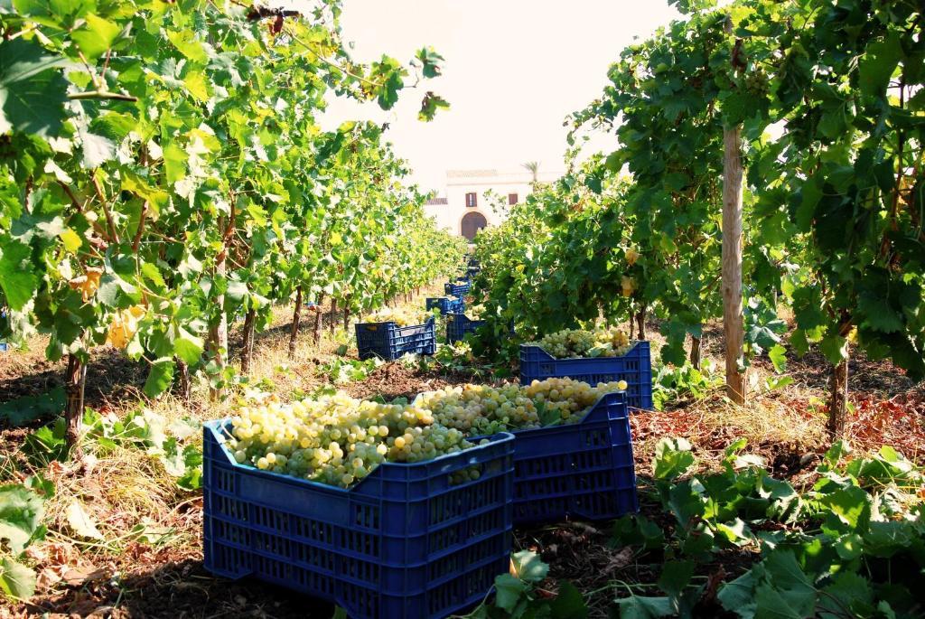 Agriturismo Baglio Donnafranca Wine Resort Marsala Exterior photo